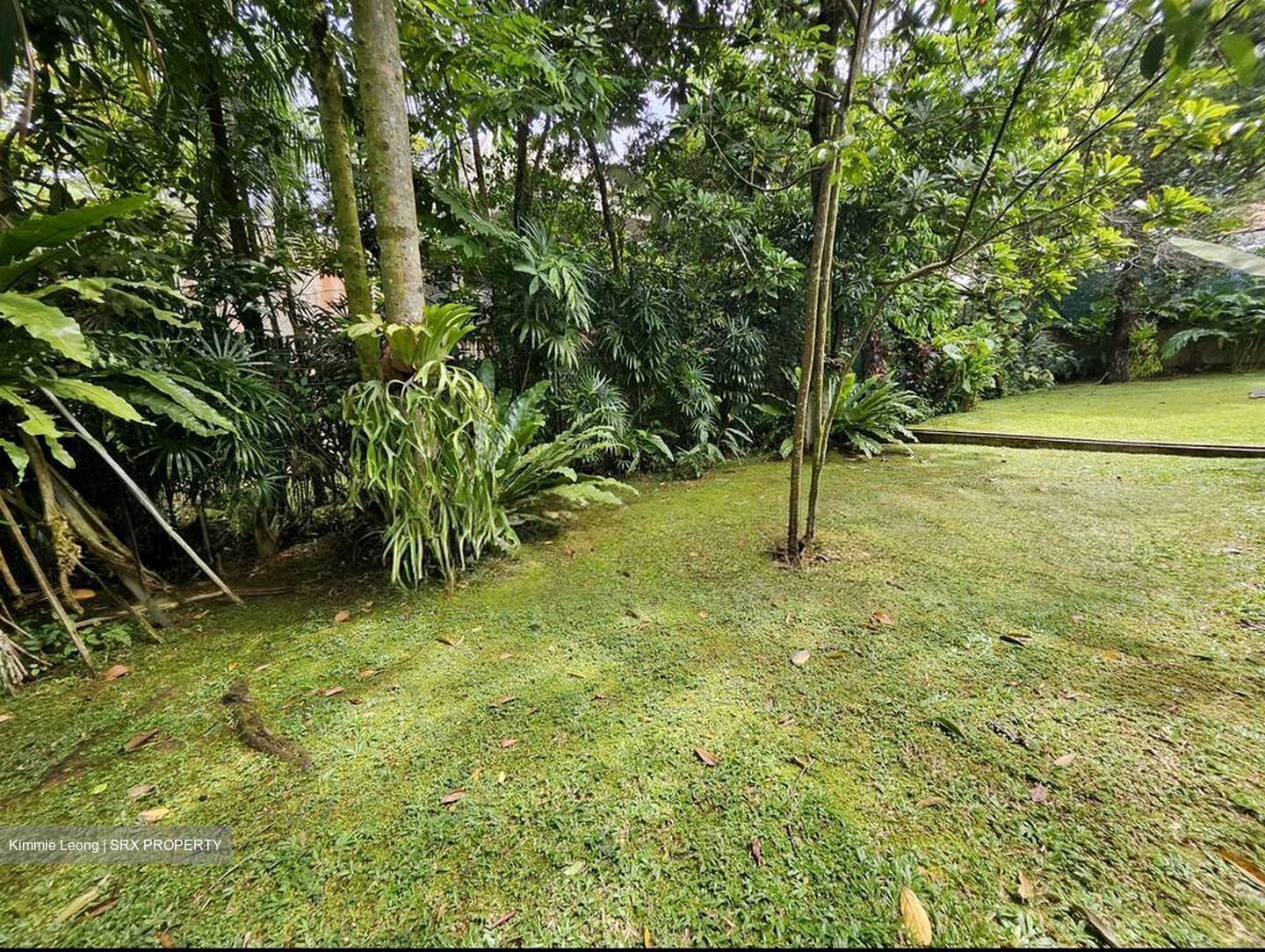 King Albert Park (D21), Detached #519532091